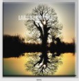 /album/photo-gallery-canvas-uri/decoratiuni-de-perete-canvas-lc-0641-jpg/